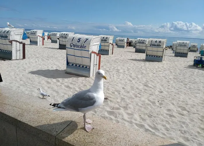 Ostsee By Wolf Lejlighed